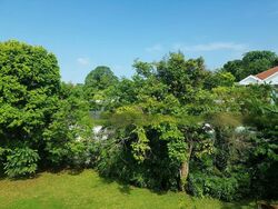 Bukit Timah Estate (D10), Detached #468537111